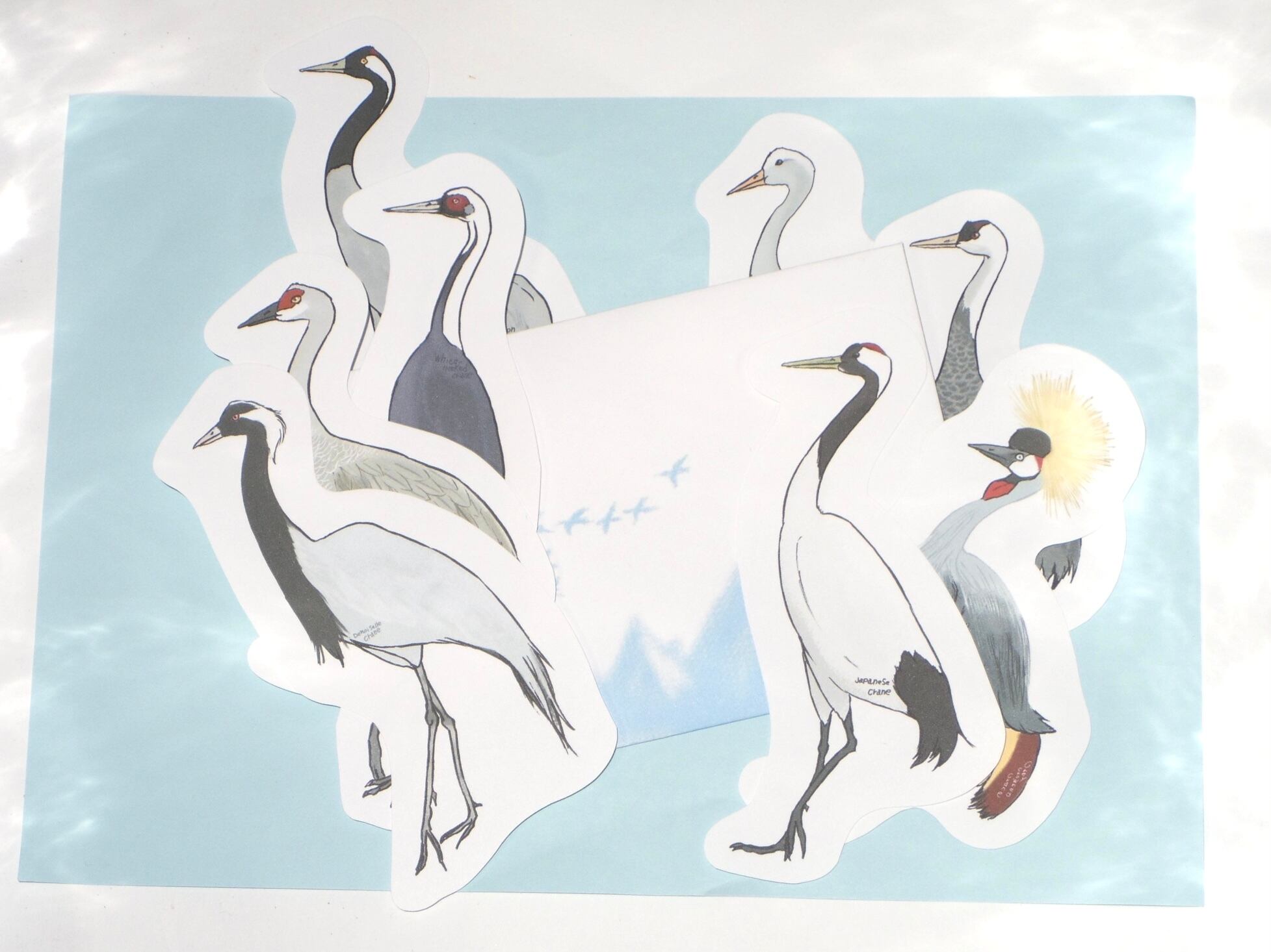 鳥のメッセージレター 鶴の舞う空 Komakkou64