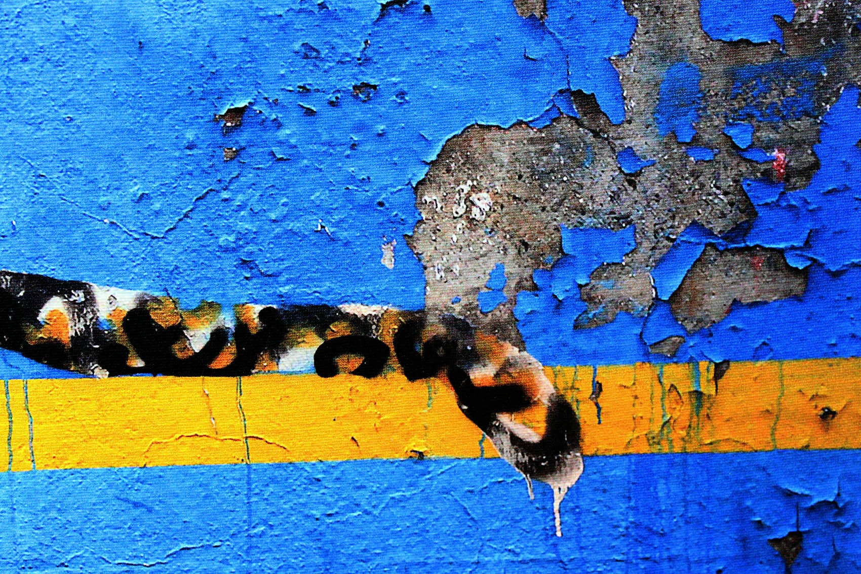 バンクシー「ヤンキー スタジアム タイガー/Yankee Stadium Tiger