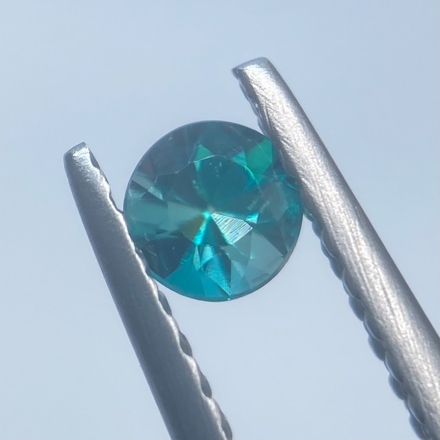 濃く鮮やかな希少カラー　グランディディエライト2