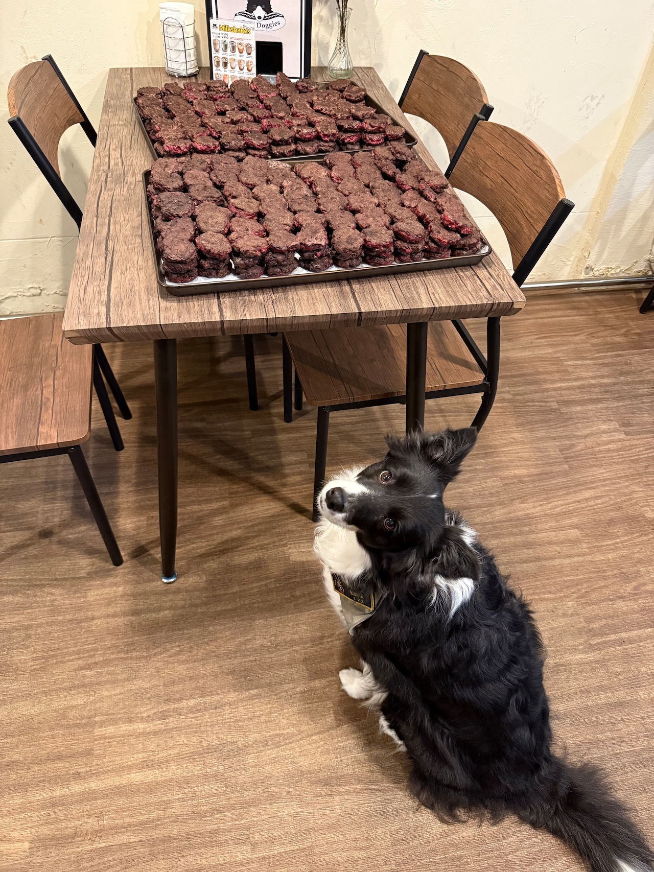 ((全国配送))ワンワンウィークセール 鹿のハンバーグ 合計400g