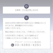 雪音企画共同開発 ゼルV2