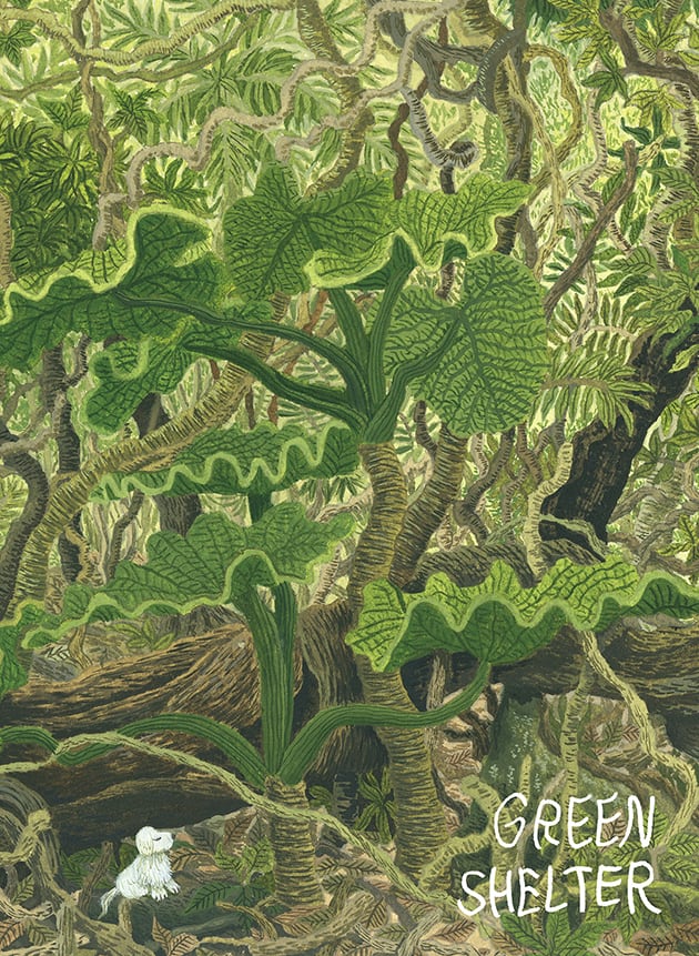 GREEN SHELTER | NAKAMURA IPPAN STORE