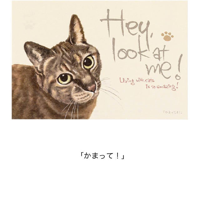 チャリティー商品 猫 ポストカード ねこハガキ 6枚セット | うさぎ