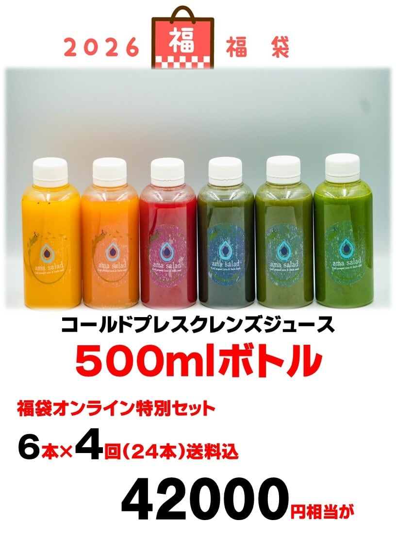 福袋ラージサイズ500mlサイズ 【定期配送500ml6本×4回定期配送コース配送料込み】