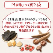 味の素 うま味調味料 味の素 100g袋×2個