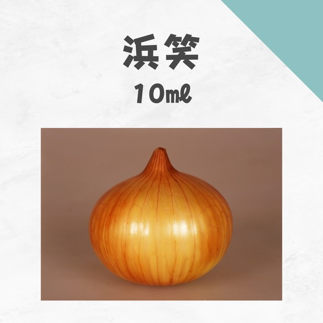浜笑　タマネギ種子・10ml