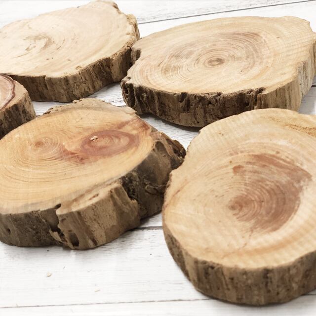 【新品未使用】屋久杉　天然木　おぼん　トレー　コースター　5個　希少 屋久島ヒノキコースター5個セット | ぬくもりの.はこ