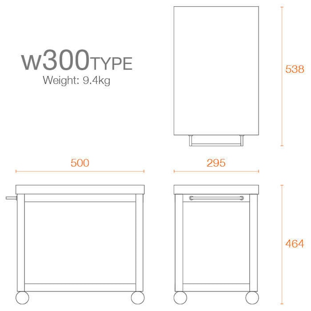 Re:BORN WAGON w300 TYPE