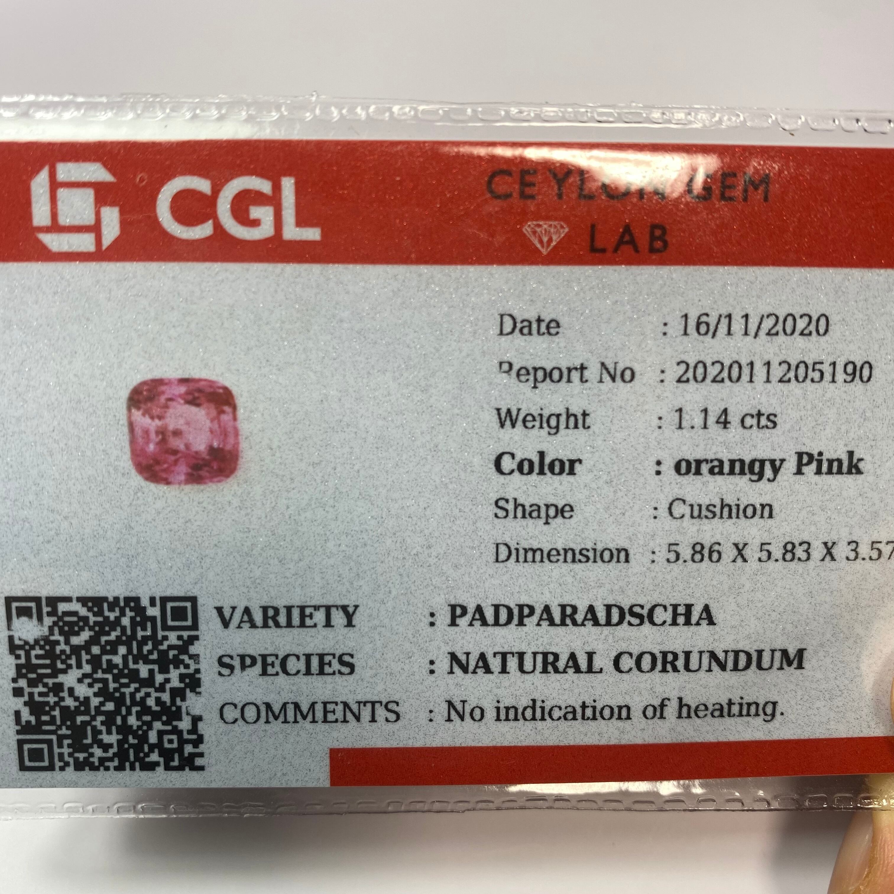 秘蔵っ子 モテピンクサファイア