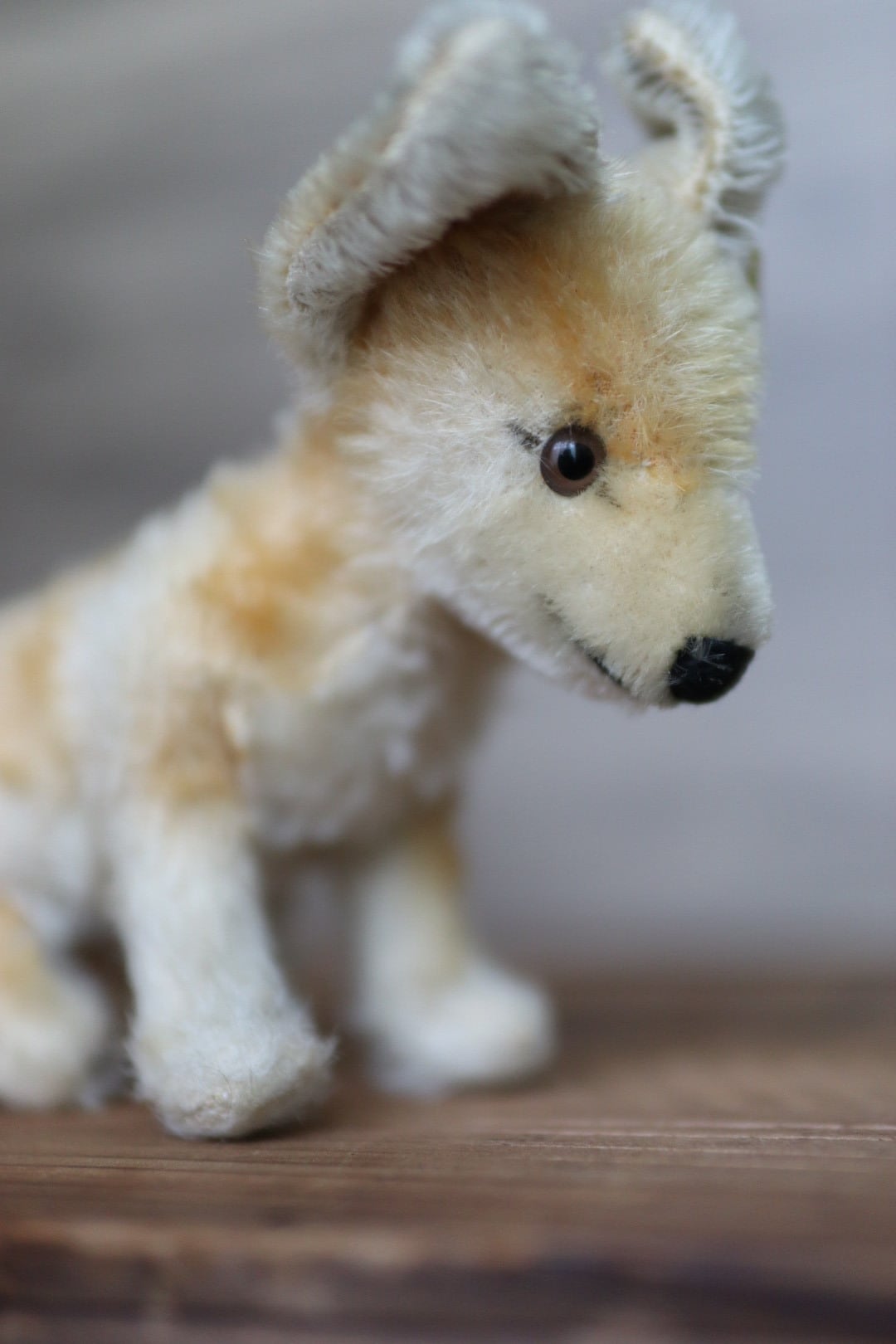 アンティーク シュタイフ きつね Xorry 17㎝