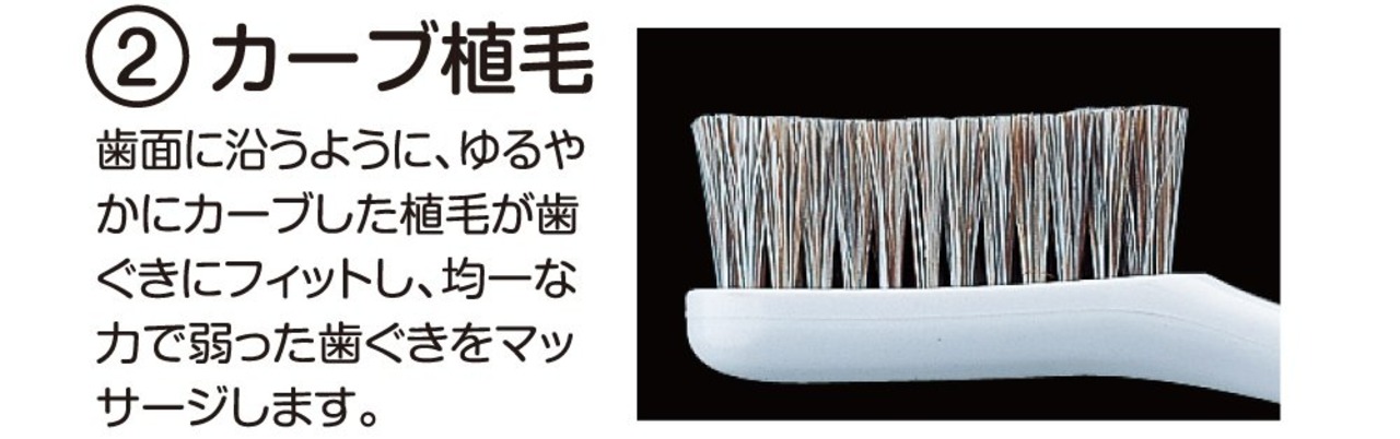 エビス 弱った歯ぐきをやさしくいたわる 軟毛 350ハブラシ 3本組