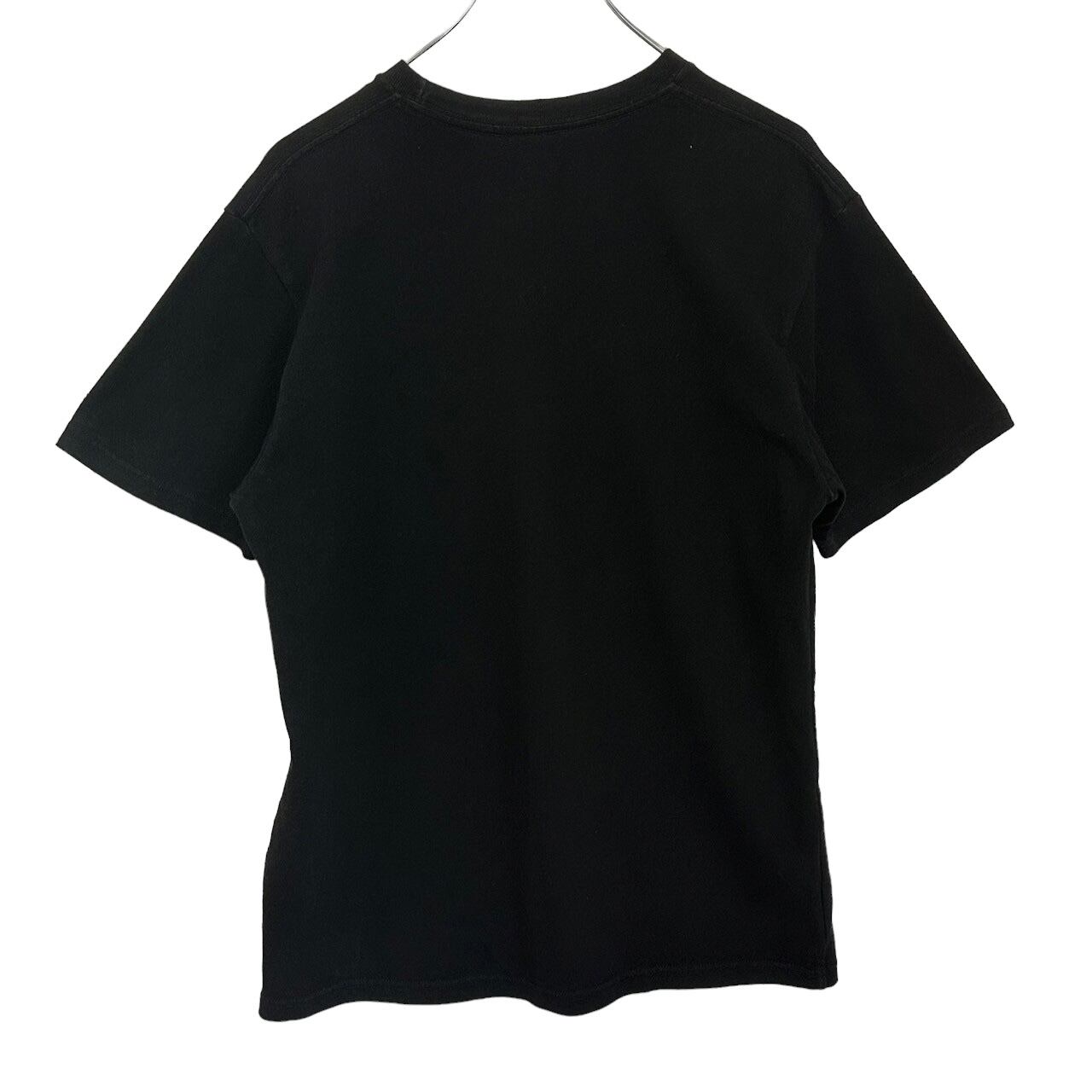 stussy ステューシー Tシャツ L センターロゴ プリントロゴ stussy ステューシー Tシャツ L センターロゴ プリントロゴ