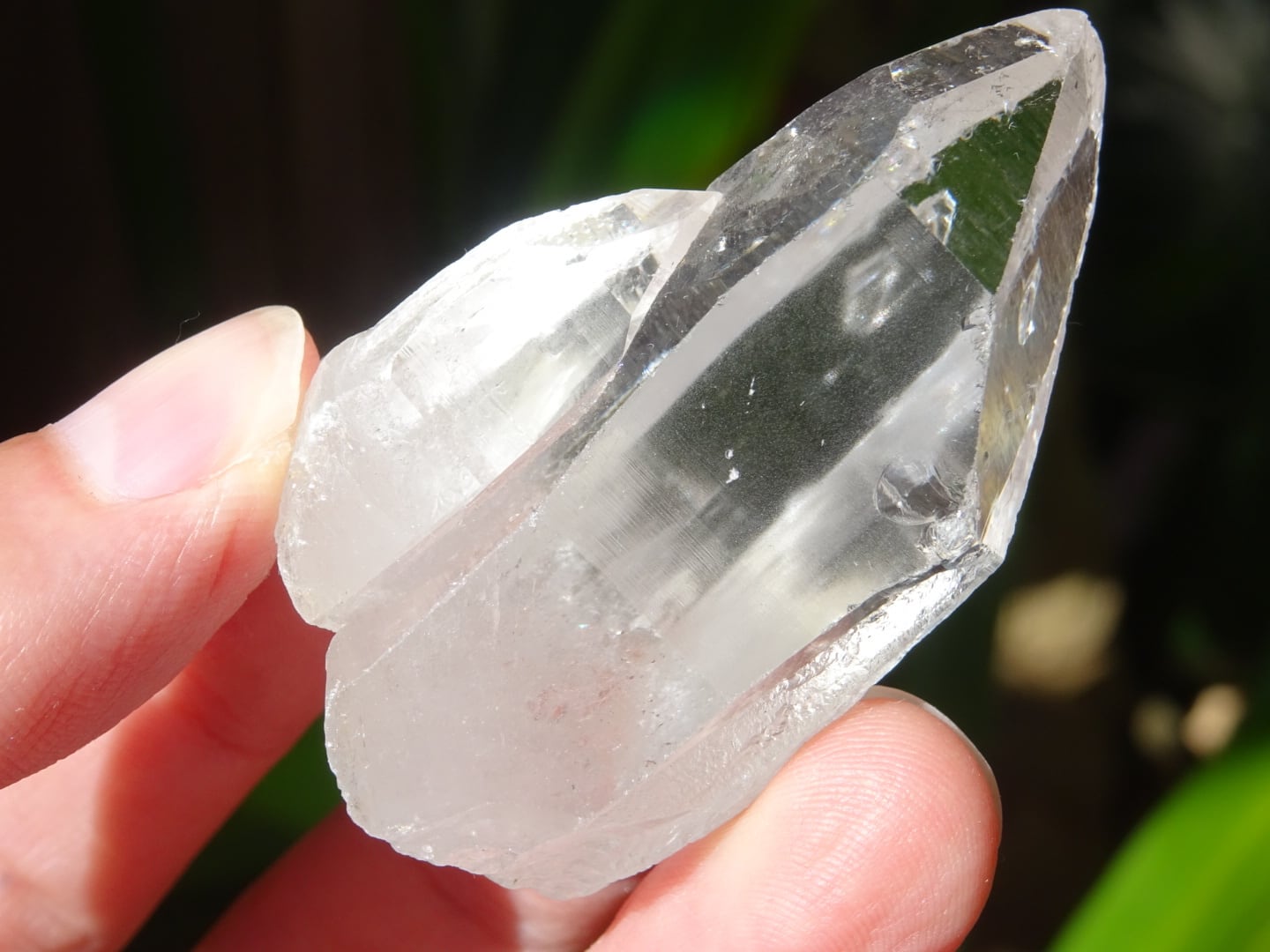 ラオスクォーツ」 ファミリークラスター、レコードキーパー＆セルフ