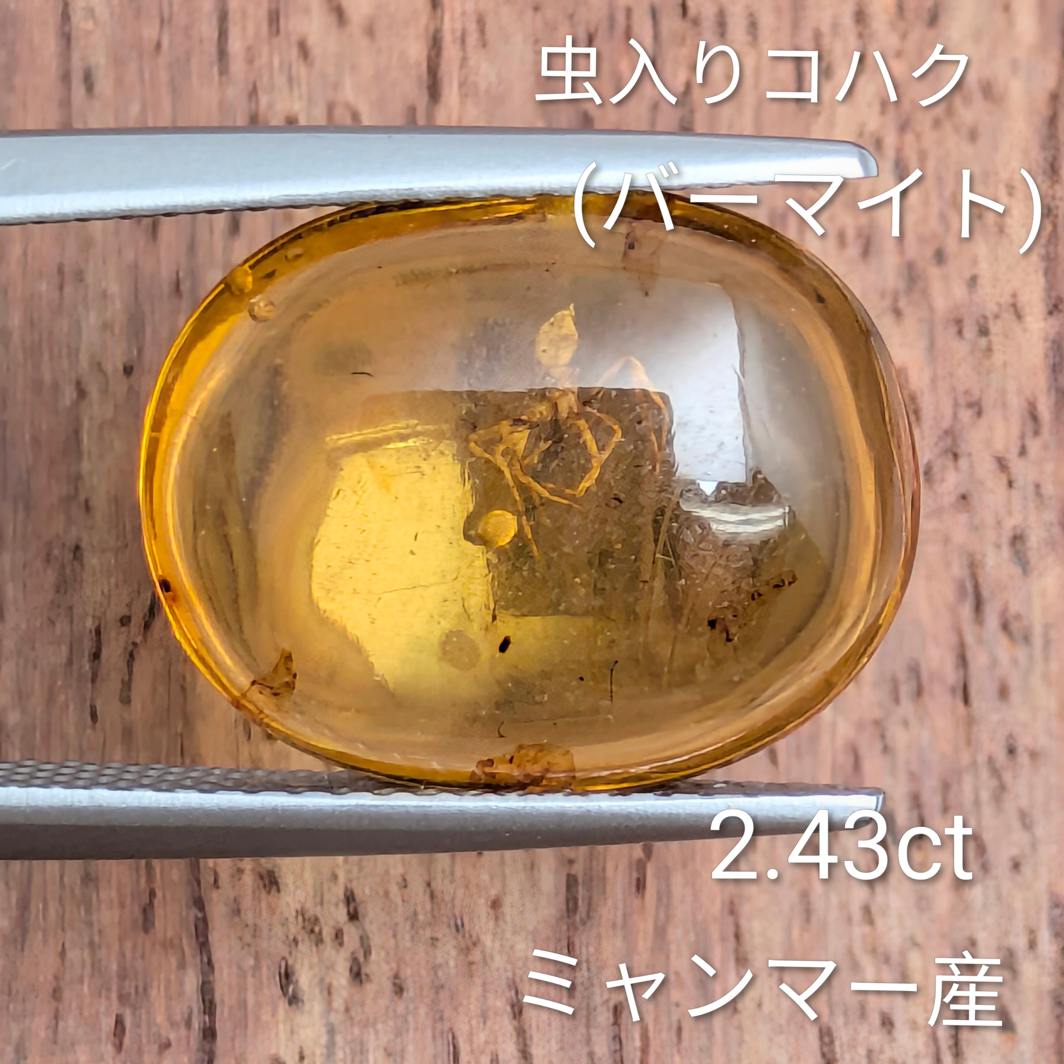 アンバー(琥珀) | Gem's Subculture