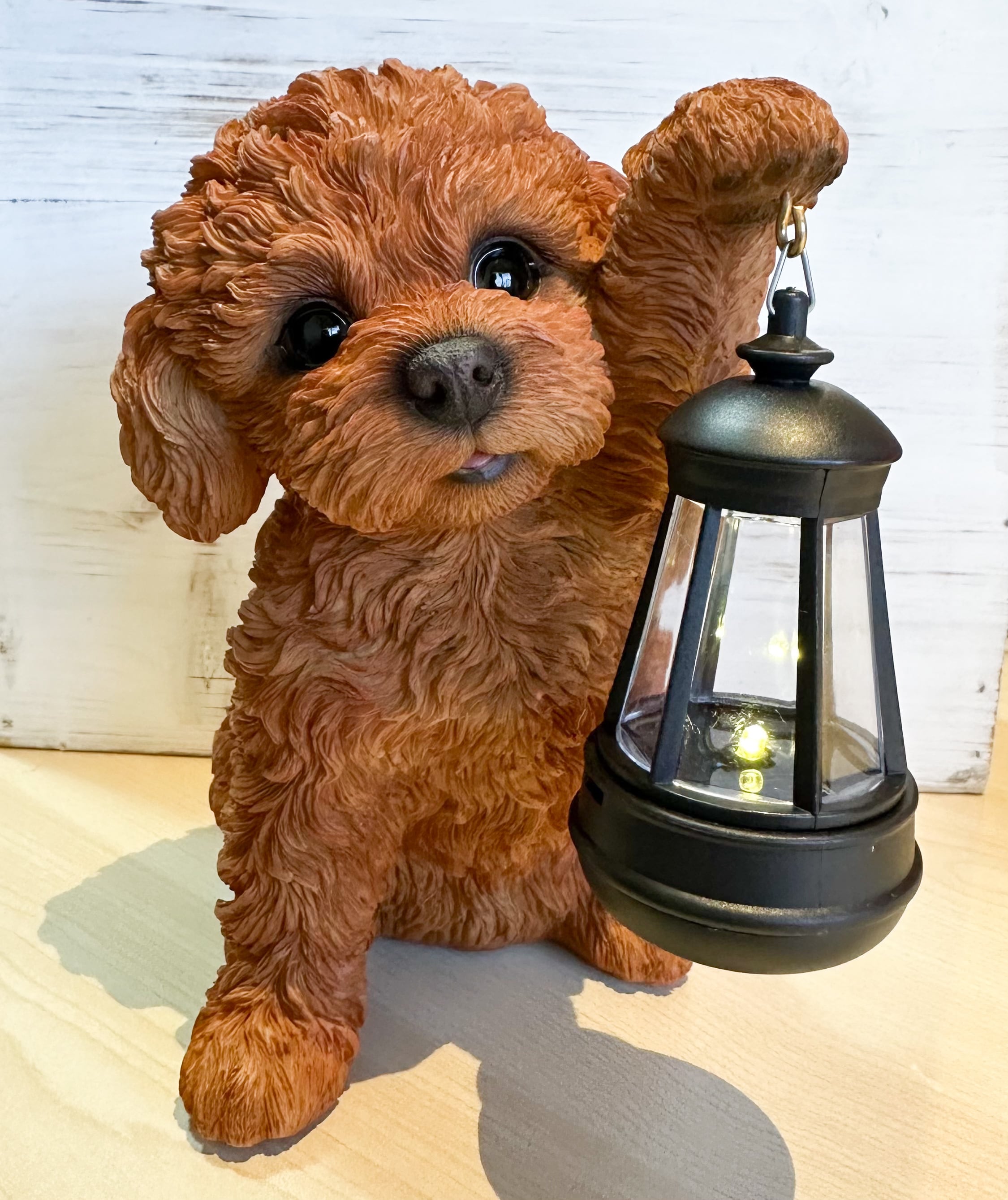 ソーラーランプを持つトイプードル