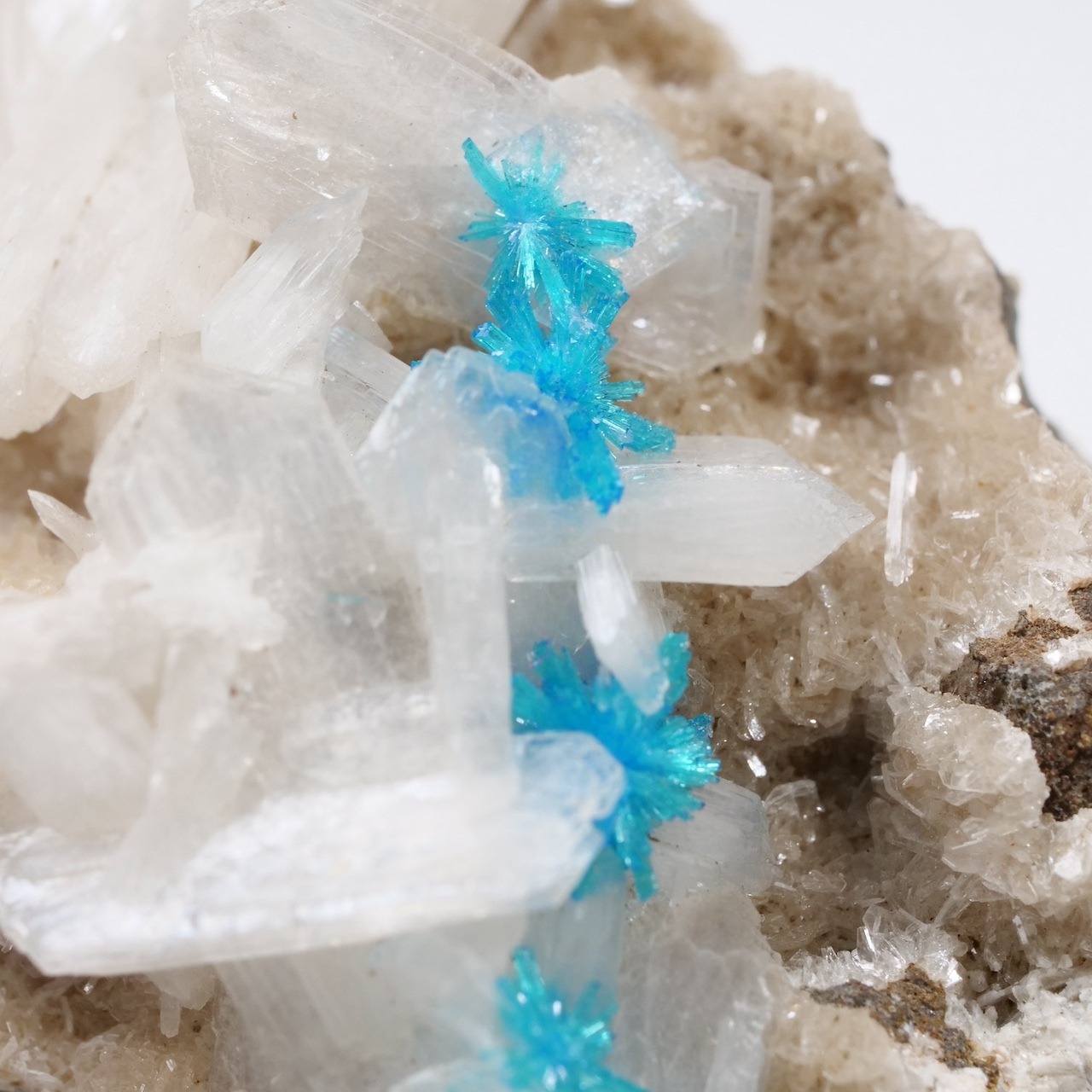 カバンサイト / スティルバイト / 原石 標本