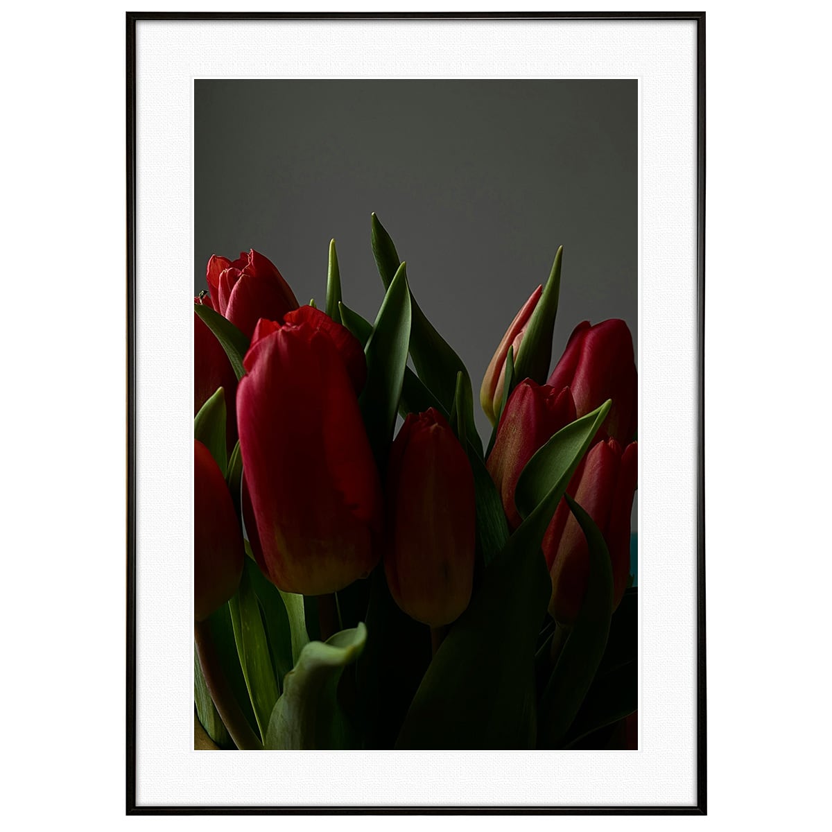 花写真 赤いバラ インテリア モノクロアートポスター額装 AS4135