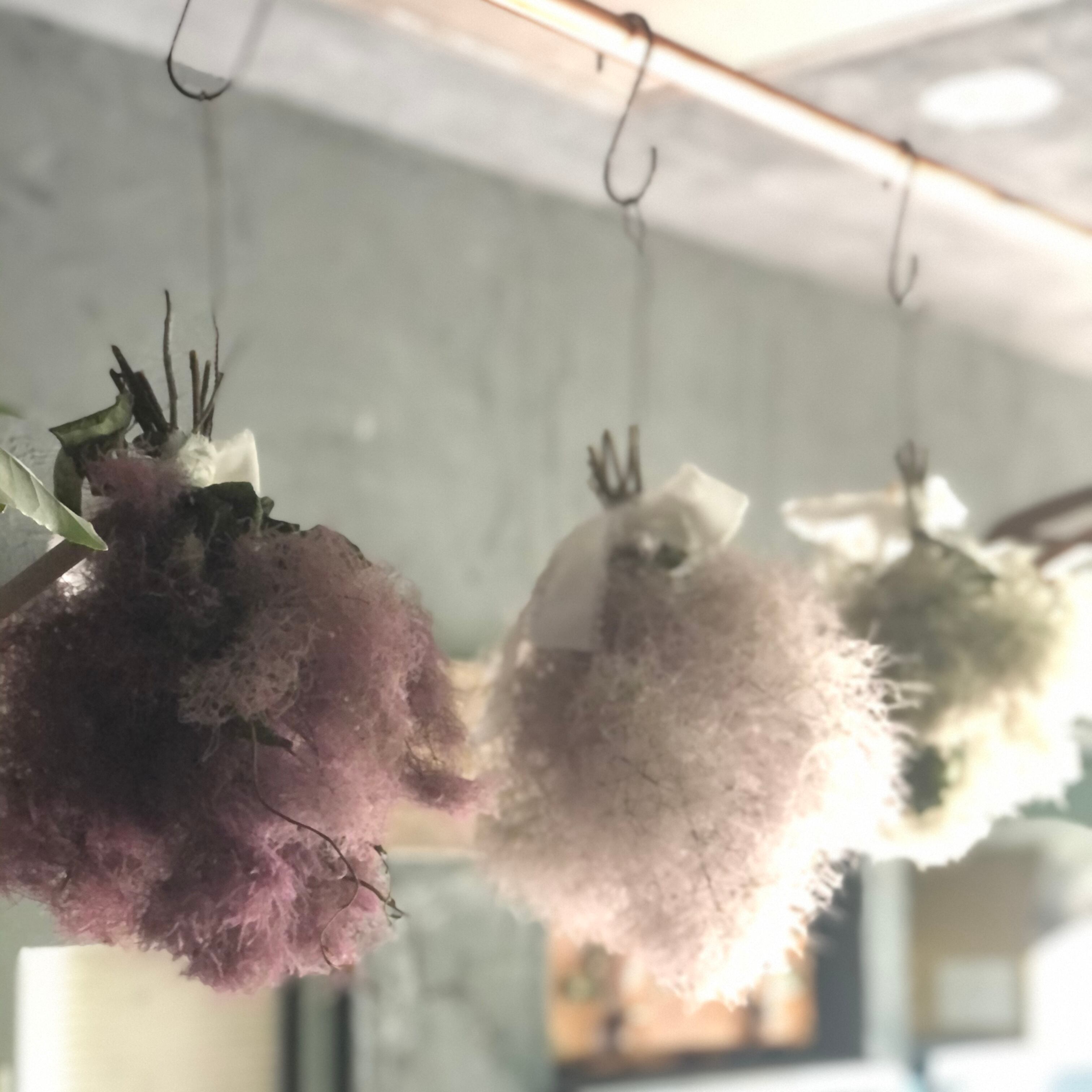 M様専用スモークツリースワッグ