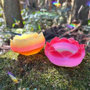 天から舞い降りた蓮の花のうつわ