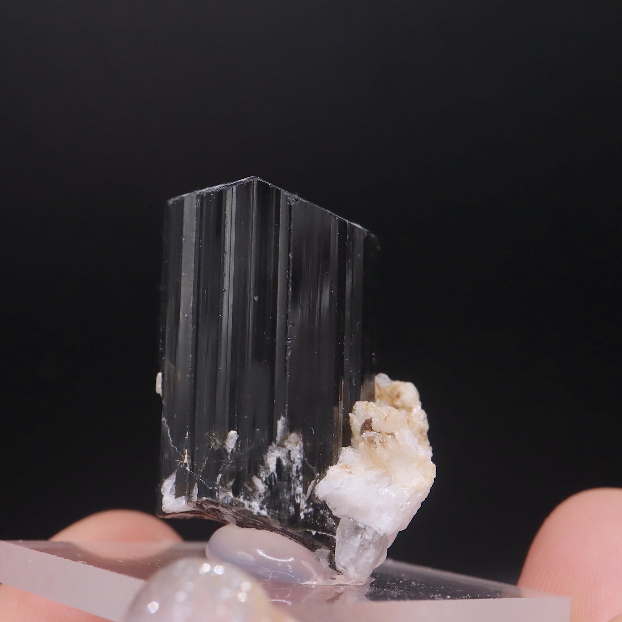 ショール/ブラックトルマリン 結晶 電気石 T819 鉱物 天然石 原石