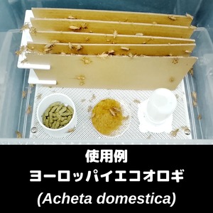 プラエサ皿｜コオロギ飼育コンテナ用