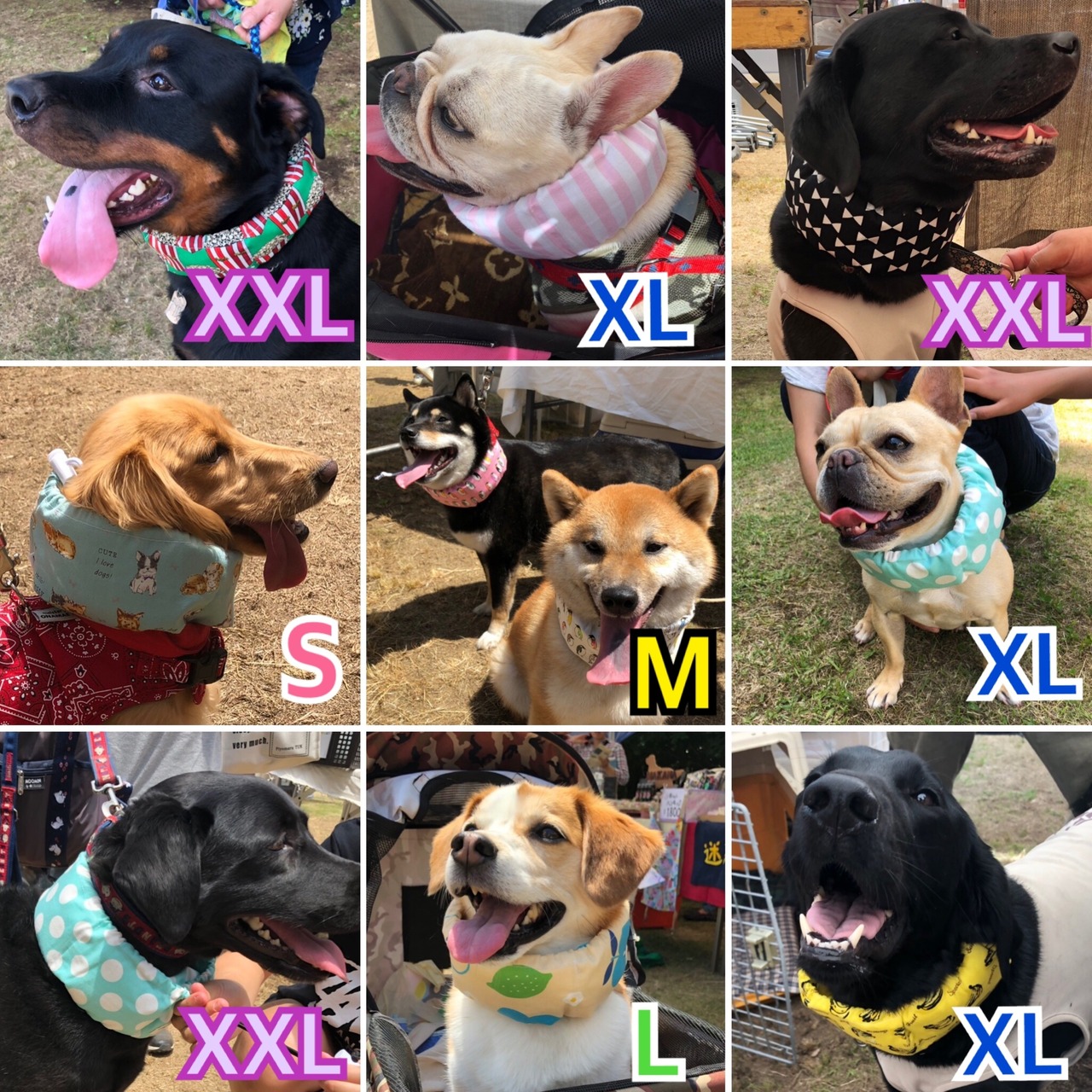 M ネッククーラー 小型犬