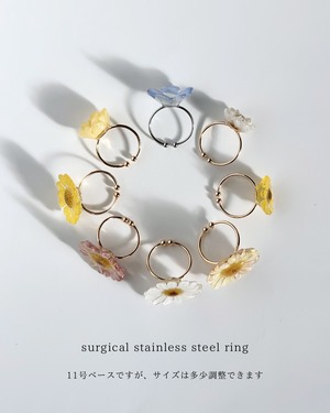real flower ring「marguerite pink lemonade ③ 」【1点限定】