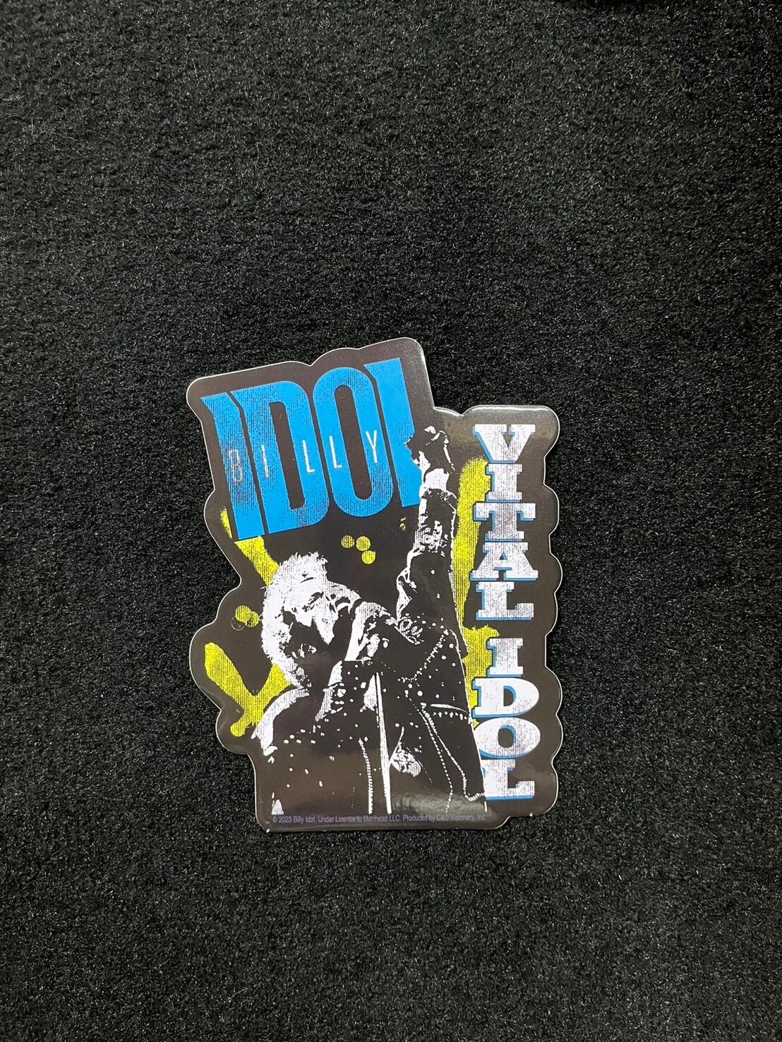 ビリー・アイドル／バイタル・アイドル Billy Idol: Vital Idol