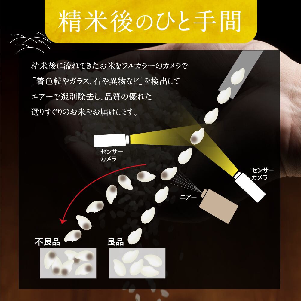 無洗米 岐阜県産ハツシモ 精米済 10kg (5kg 2袋) 【令和5年産】