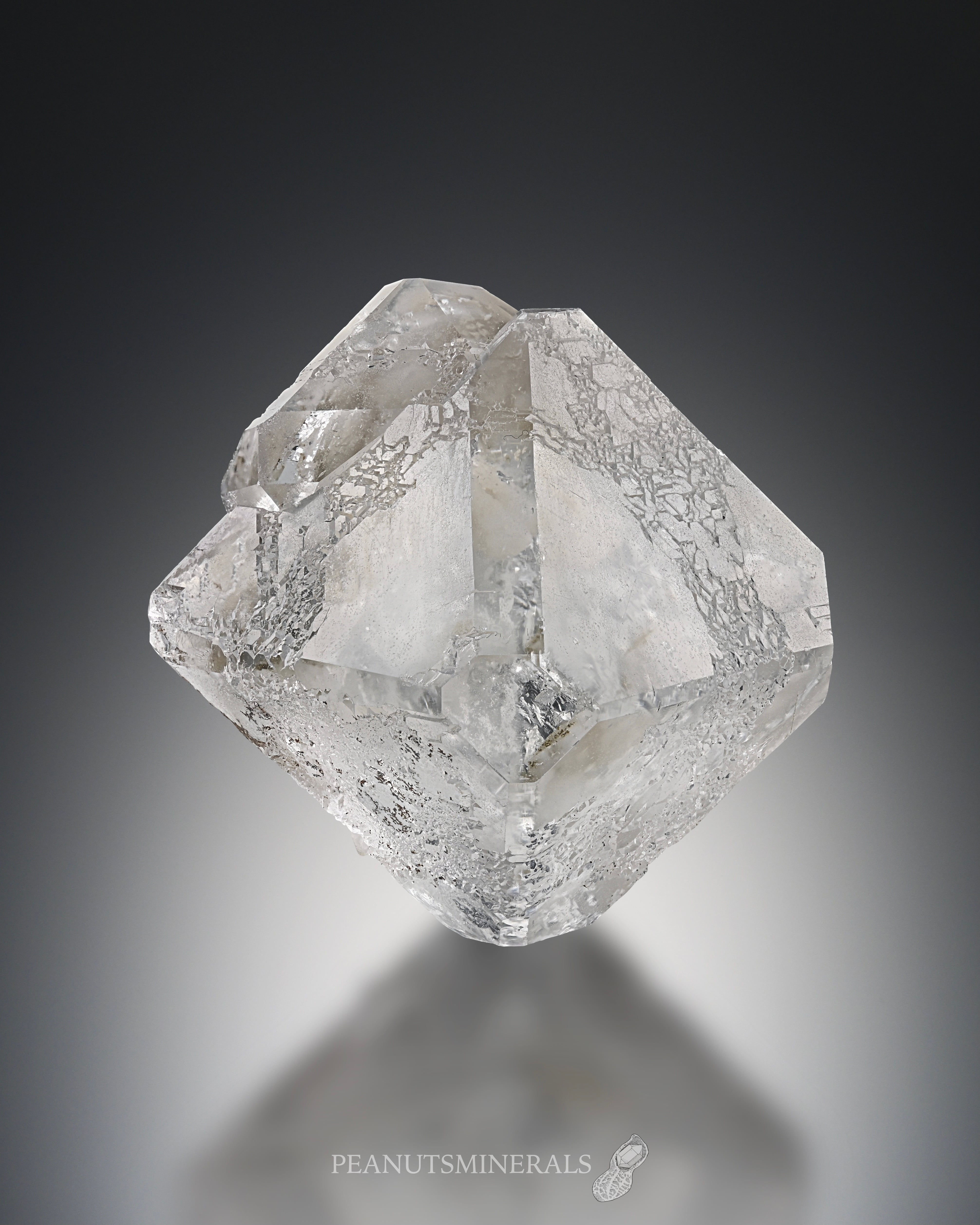 フローライト【Fluorite】中国産 | PEANUTS MINERALS