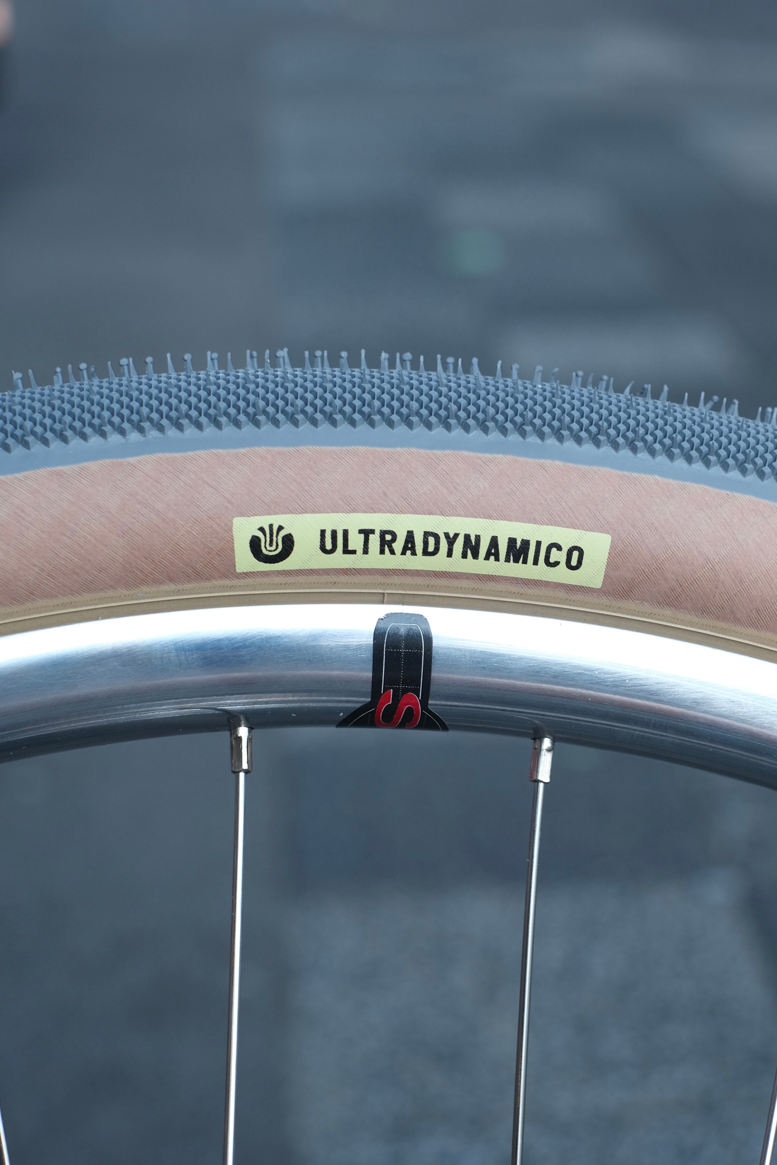ULTRADYNAMICO】CAVA RACE TIRE (GRAY) | Humhumhug Online Shop
