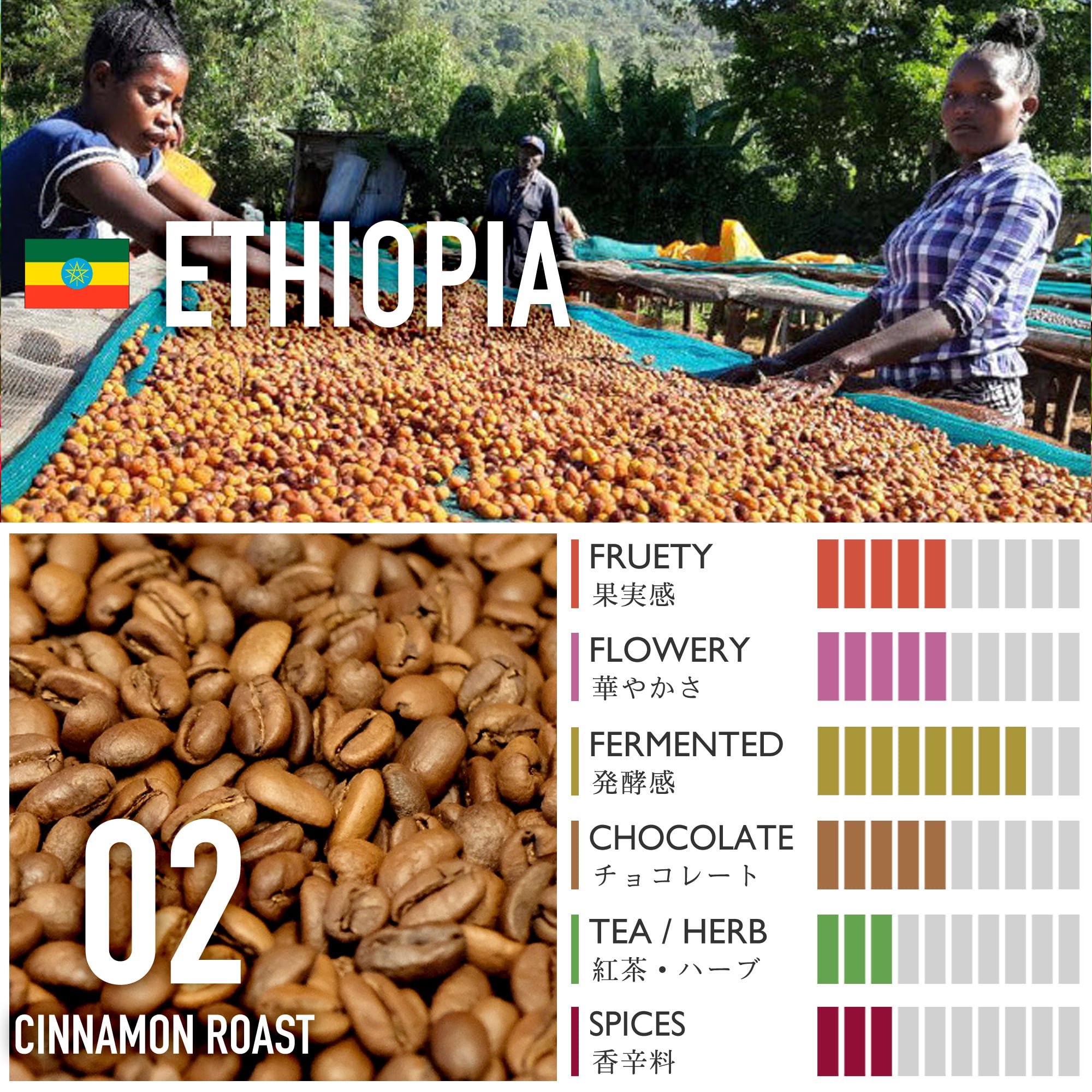 エチオピア/ゲシャ・カルマチ農園・カーボニックマセレーション・ナチュラル【浅煎り】