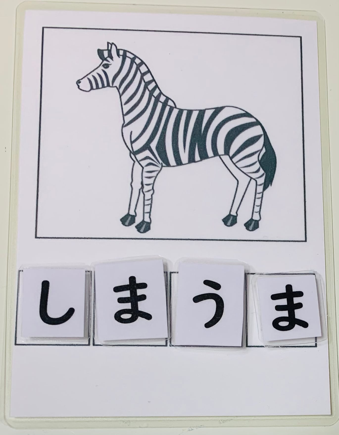 しまうま】ぺったんカード ひらがな | ゆるっと たからばこ