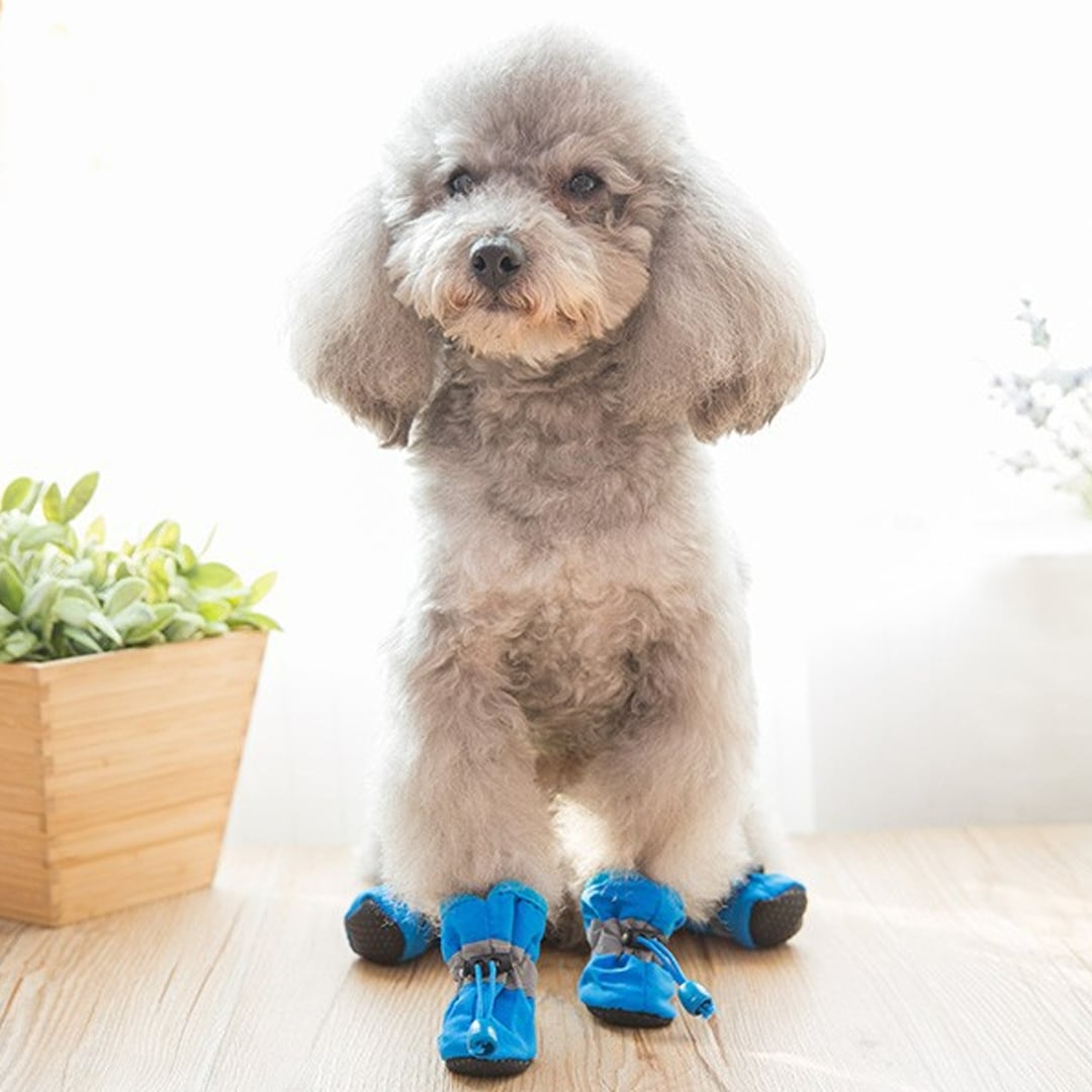 犬 靴 犬の靴 ドッグシューズ 犬靴 靴下 足保護 滑り止め 介護 小型犬