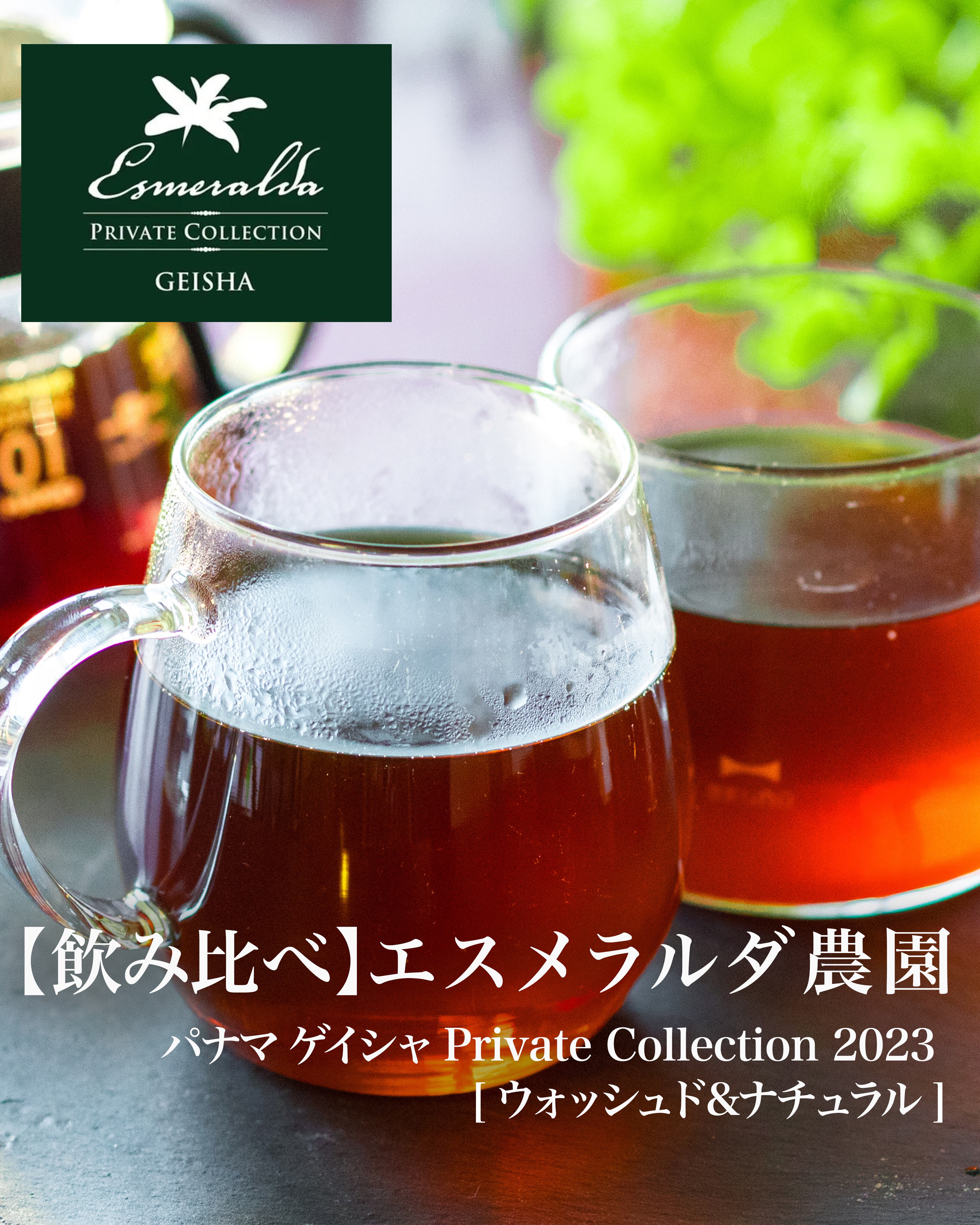 【飲み比べ】パナマ エスメラルダ  [ウォッシュド&ナチュラル] Private Collection2023 ゲイシャ 100g+100g