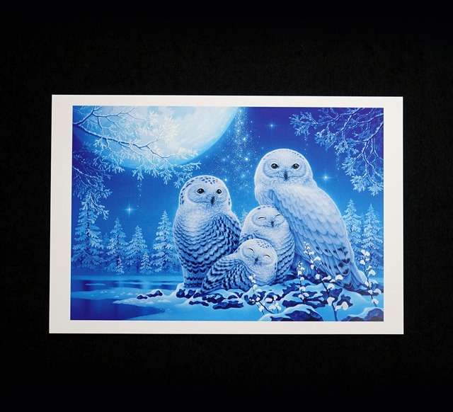 ポストカード「フクロウ」