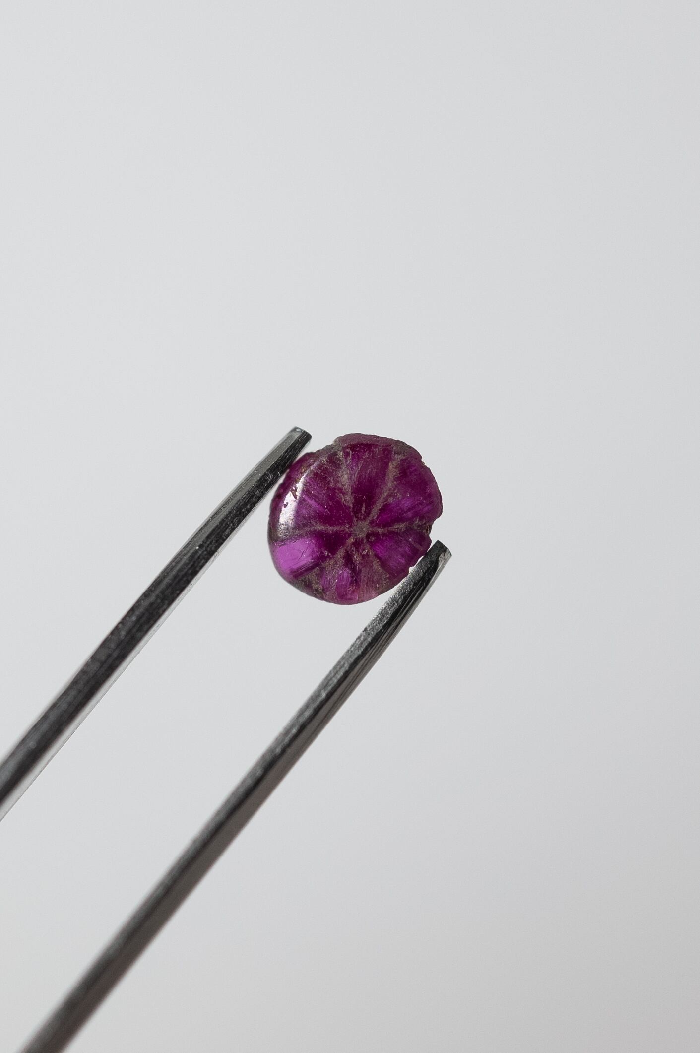 トラピッチェルビー - 016 | SELSHA