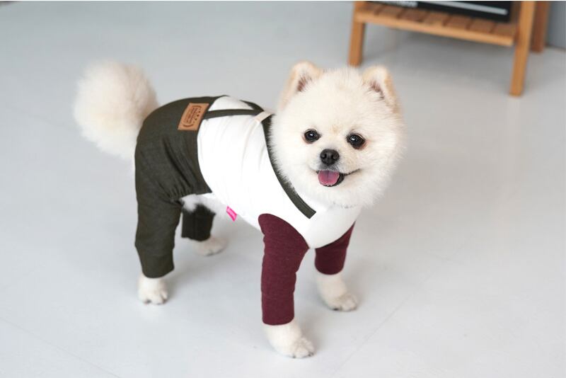 デーリーオールインワン S ~ 3XL 2color / 犬服 つなぎ ロンパース 部屋着 小型犬 中型犬 大型犬 犬の服