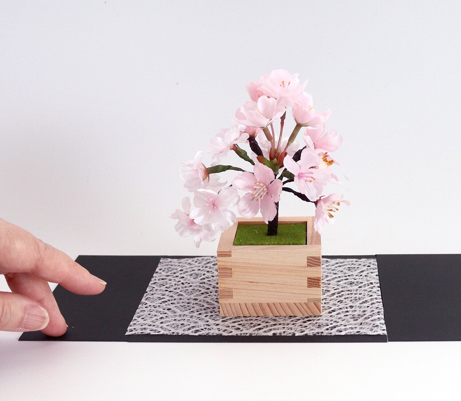 ミニ盆栽＞枡入り桜 雅・MIYABI 日本の春を永遠にお届けします | hana