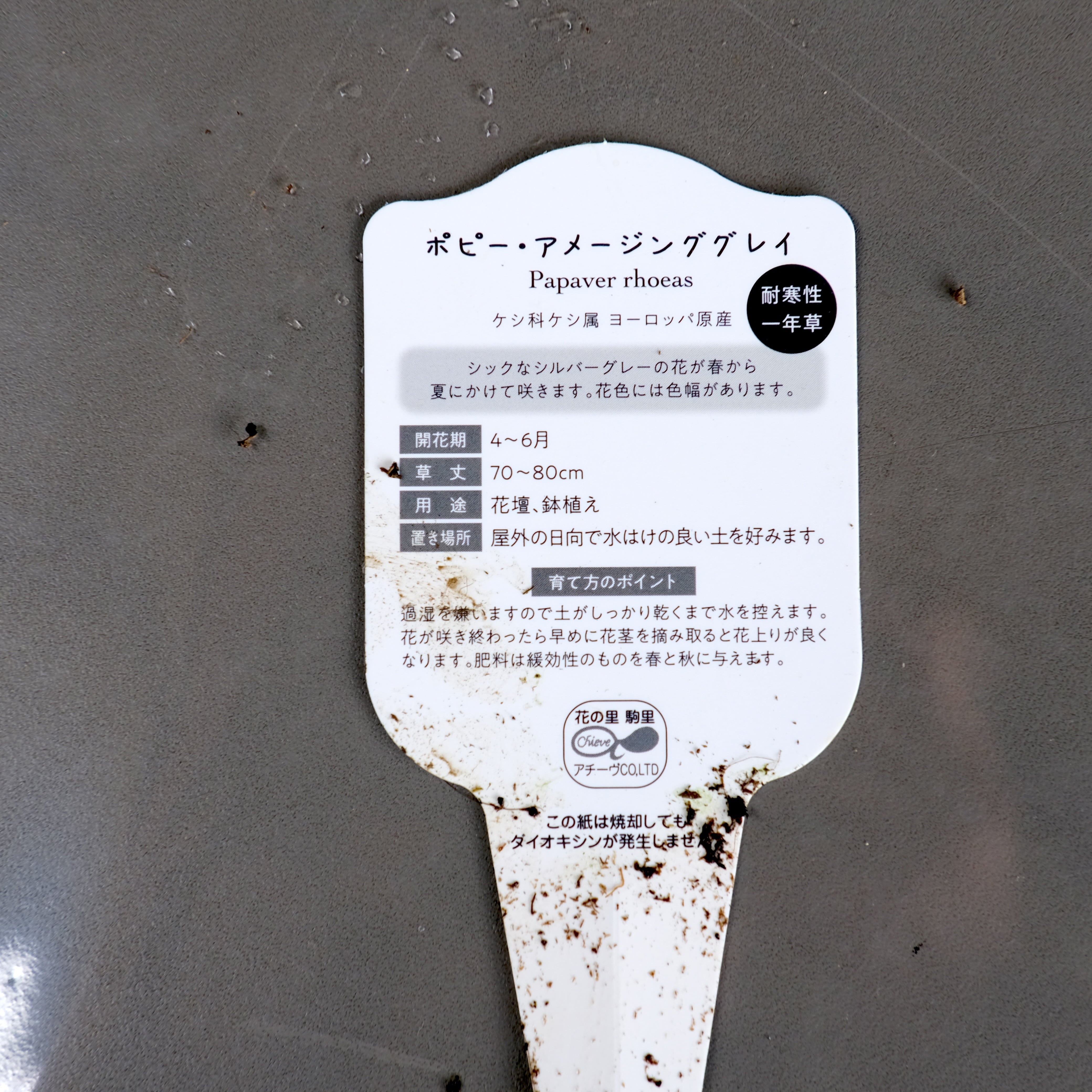 ポピー《 アメージング グレイ 》 | グリーンギャラリーガーデンズ