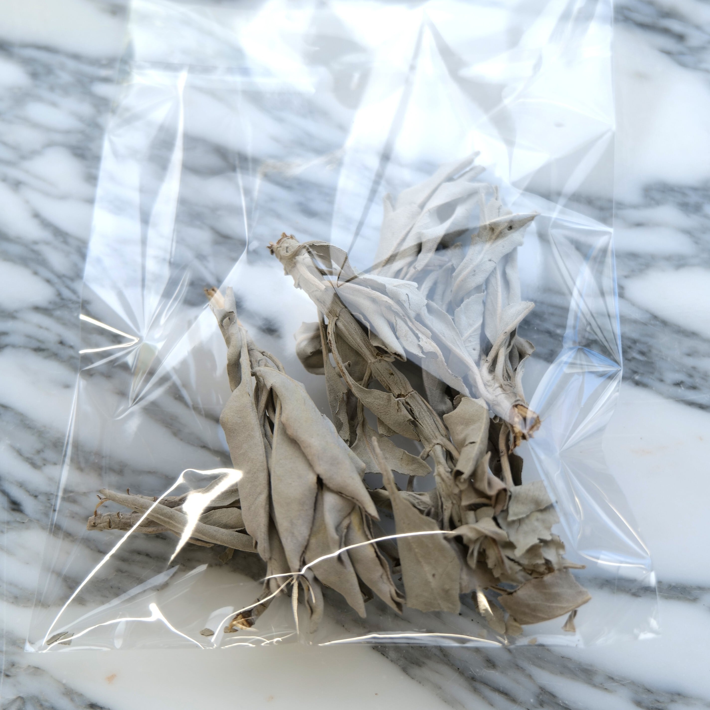 ホワイトセージ