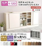 ラック セミオーダーカウンター下収納ぴったりくん キャビネット(ポリカタイプ ミスト) 全14色