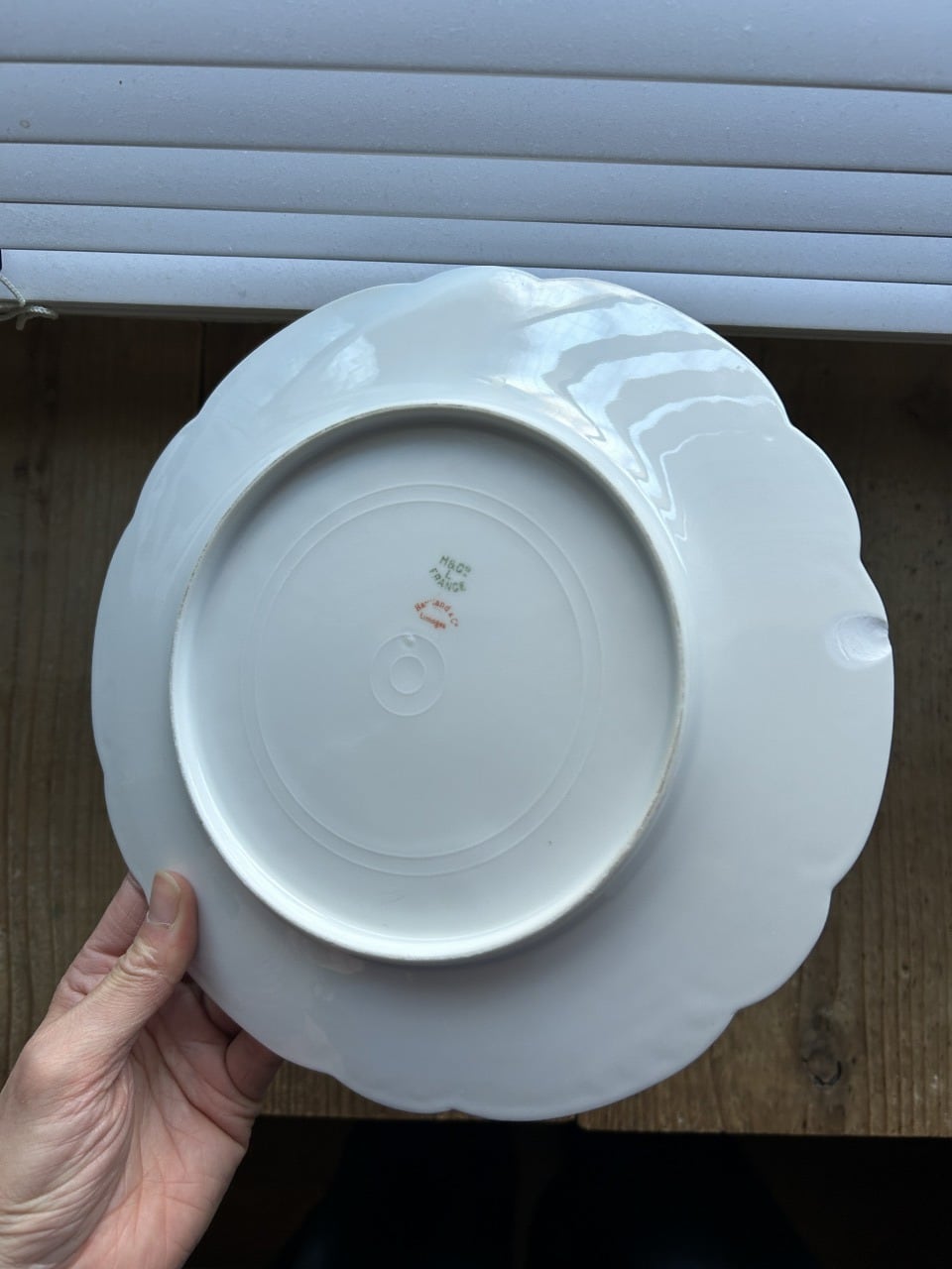 Limoges / リモージュ / お花柄のディナープレート / B | destrucs