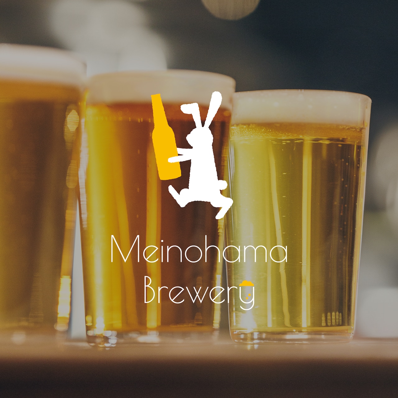 【ギフト】クラフトビール 330ml IPA(アイピーエー) 5本セット 無濾過ビール・画像16