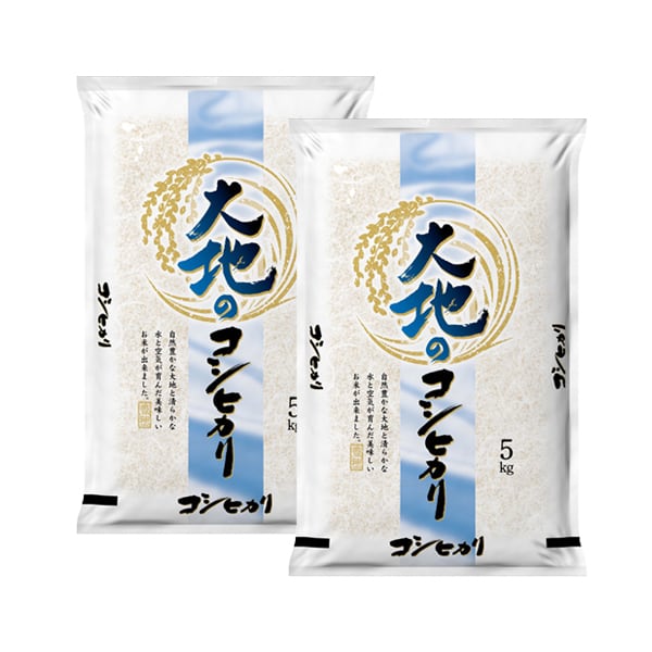 セール 米 大地のコシヒカリ 10kg お米 10キロ 令和7年産米入り 送料