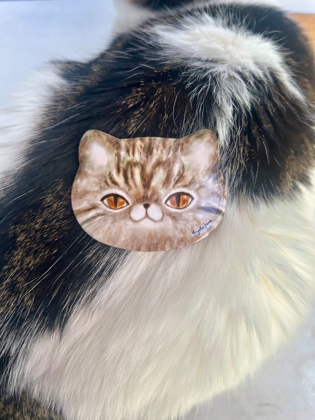 キジネコバッジ　缶バッジ