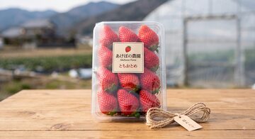夏ギフト 残暑見舞い ギフト サブレミシェル ヴォヤージュサブレ