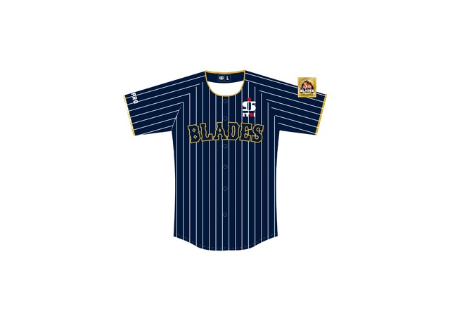 日大藤沢　ユニフォーム　L 日大藤沢 ユニフォーム L