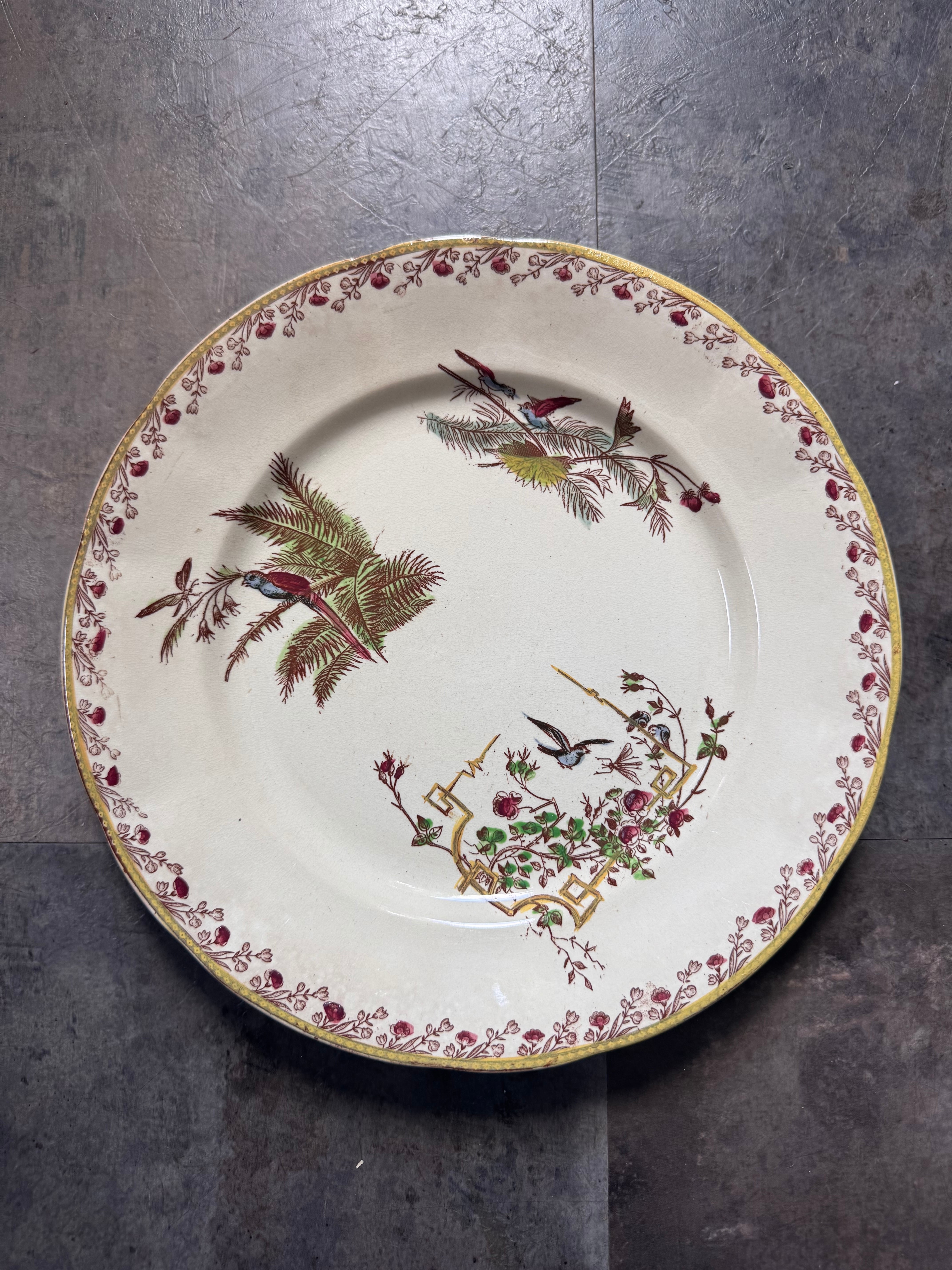 ペクソンヌ ディナープレート