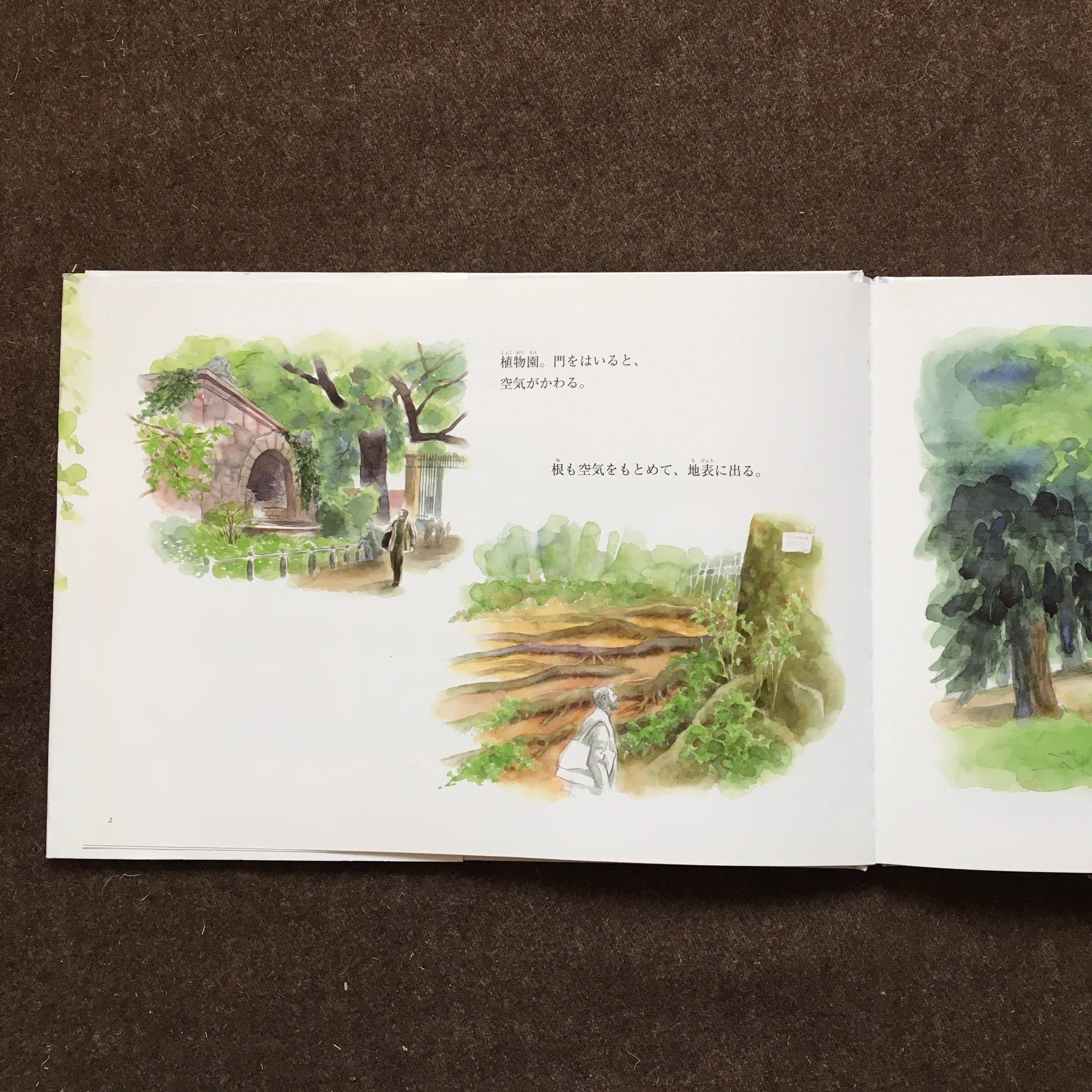 大きな木のような人